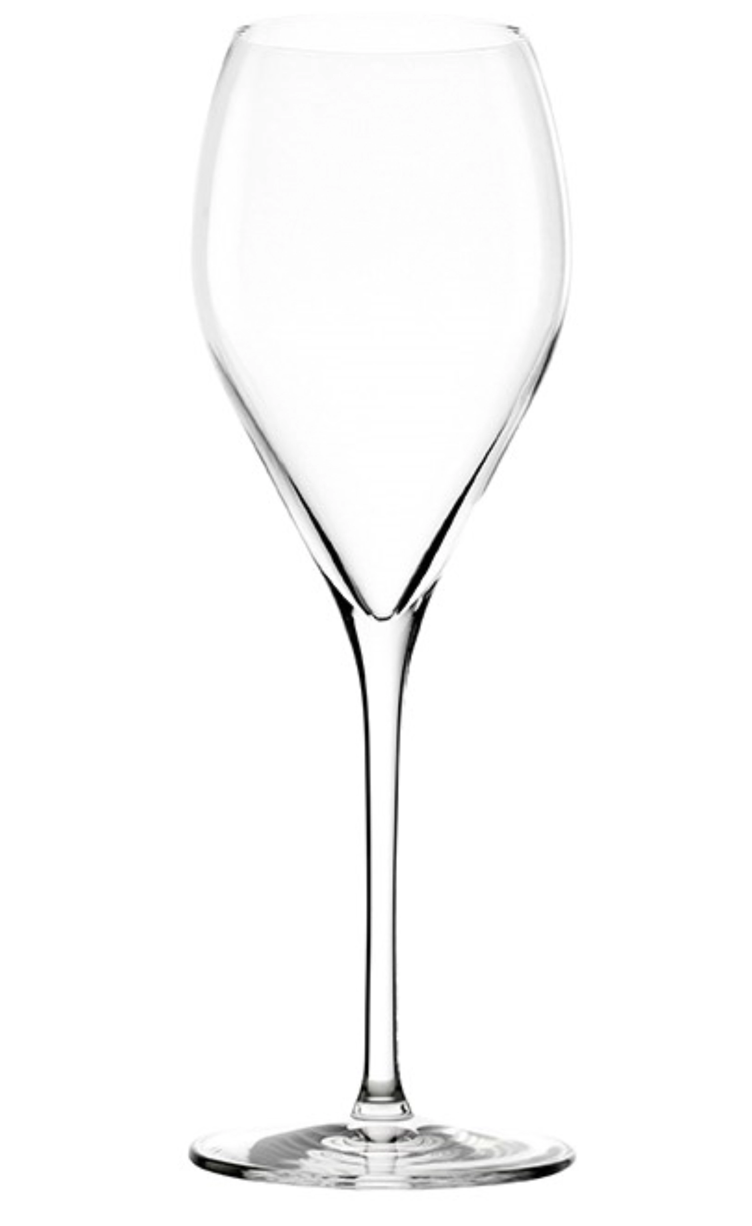 Sparkling&Water Champagnerglas 343ml h:232mm /-/ 1dl geeicht