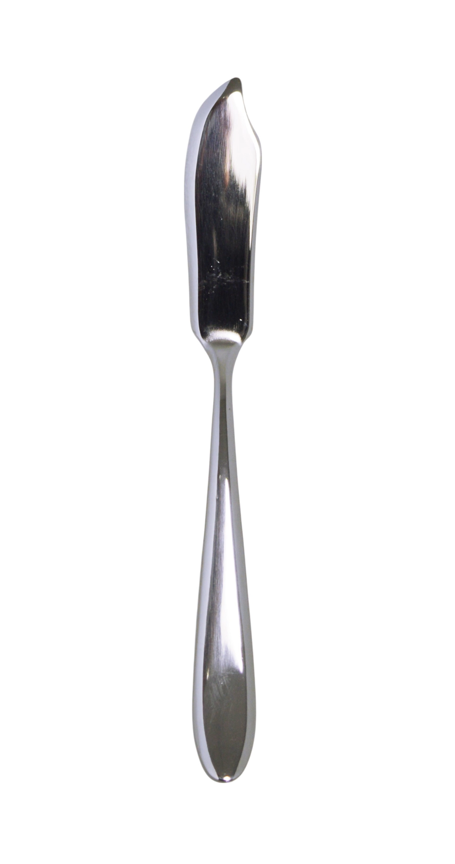 Ritz Fischmesser 19.7cm
