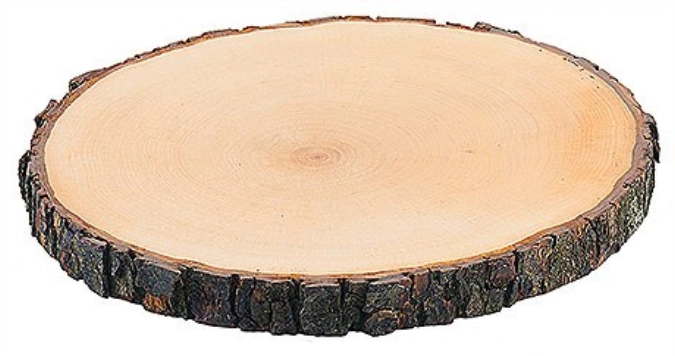 Rindenbrett rund ø23-26cm Dicke: 2.5cm, Esche lackiert
