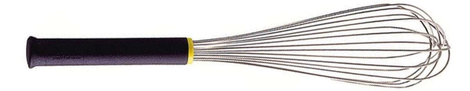 Fouet 40cm avec poignée exoglass