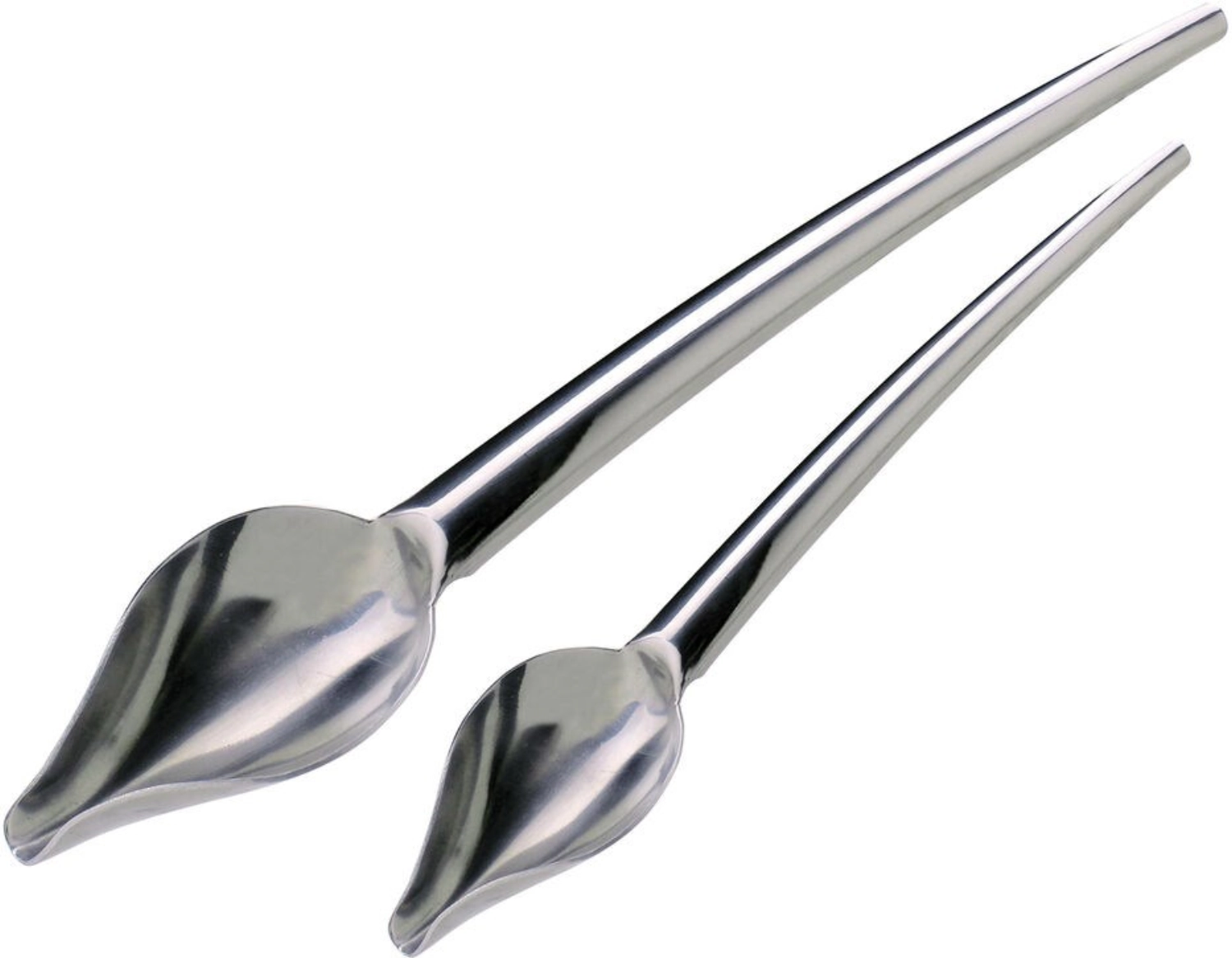 Lot de 2 cuilleres plume inox