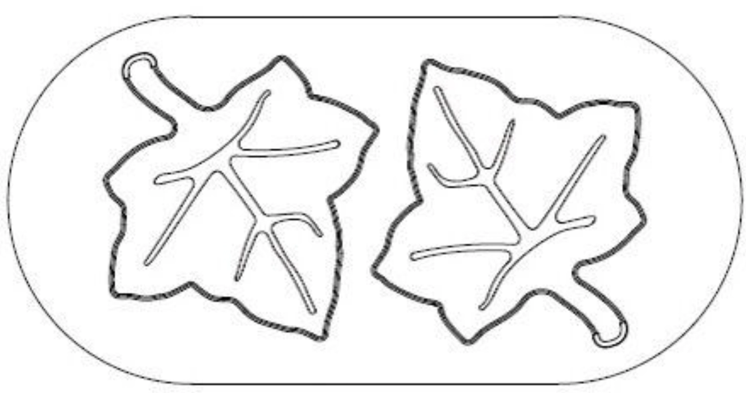 Decoupoir exoglass feuille vig