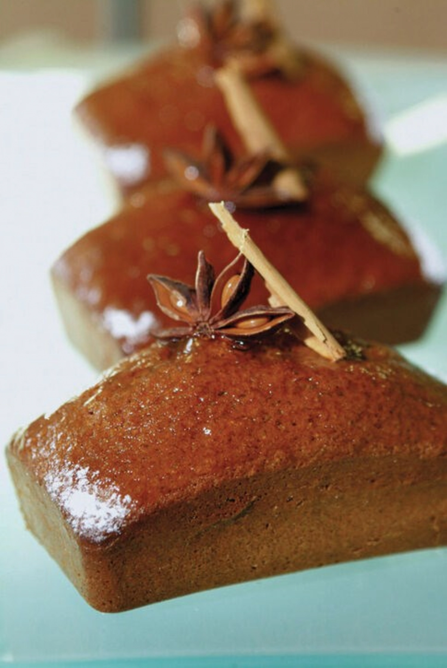 Flexipan gn1/1 lingot