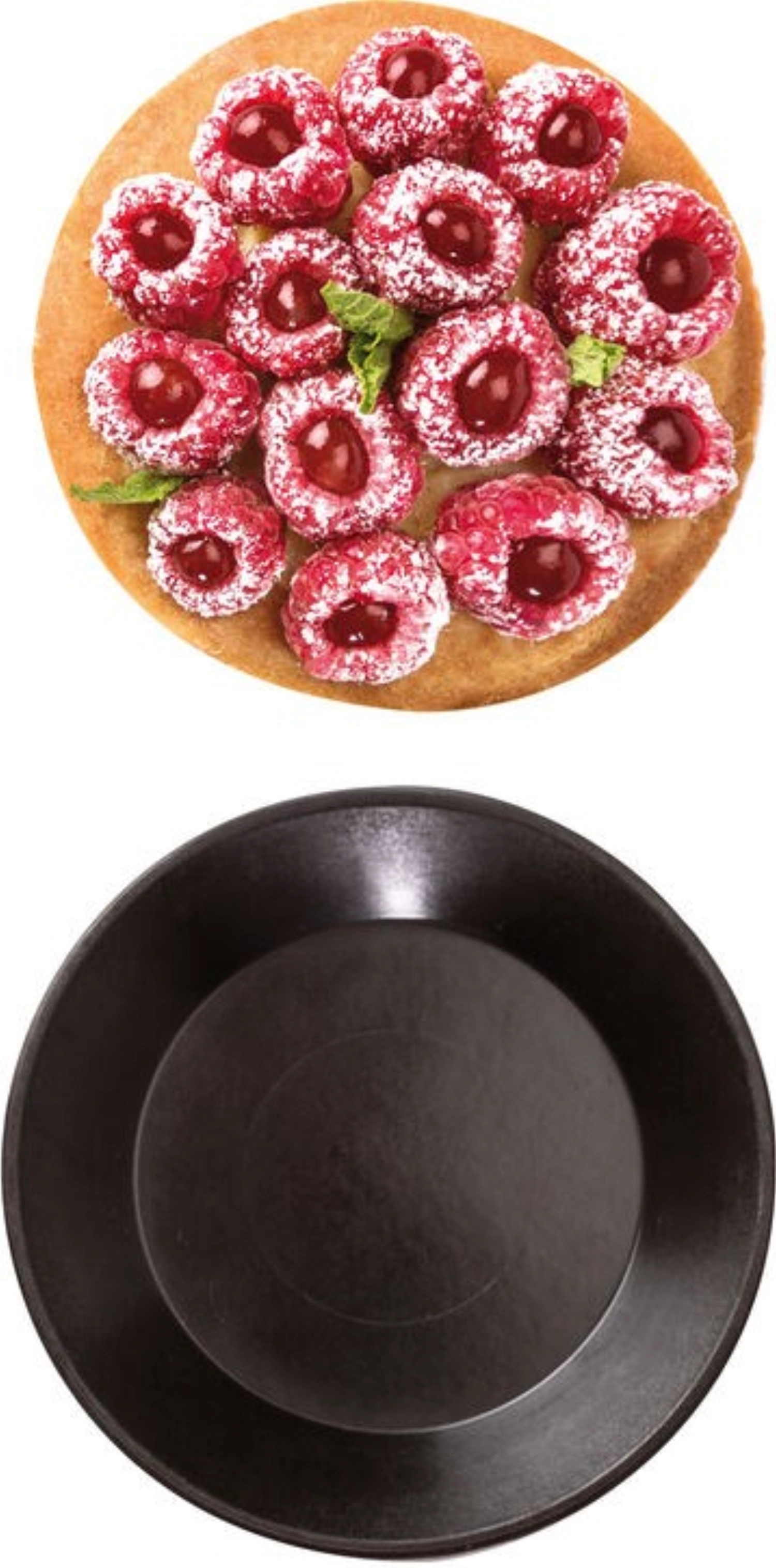 12 R.U Exoglass Tortchen D100