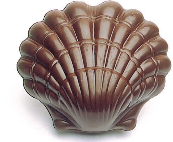 Pla/1/2coqui.stjacquepoly2 emp