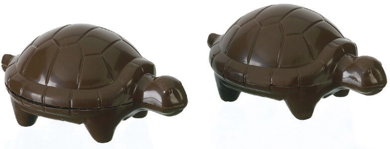 Form 2 Schildkröten 118X80mm