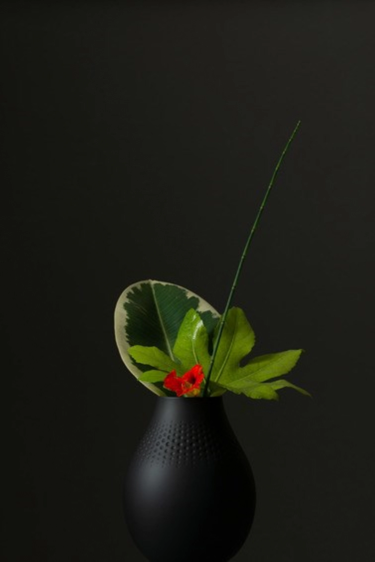 Manufacture Collier noir Vase Perle haut 16x16x20cm 2.34lt