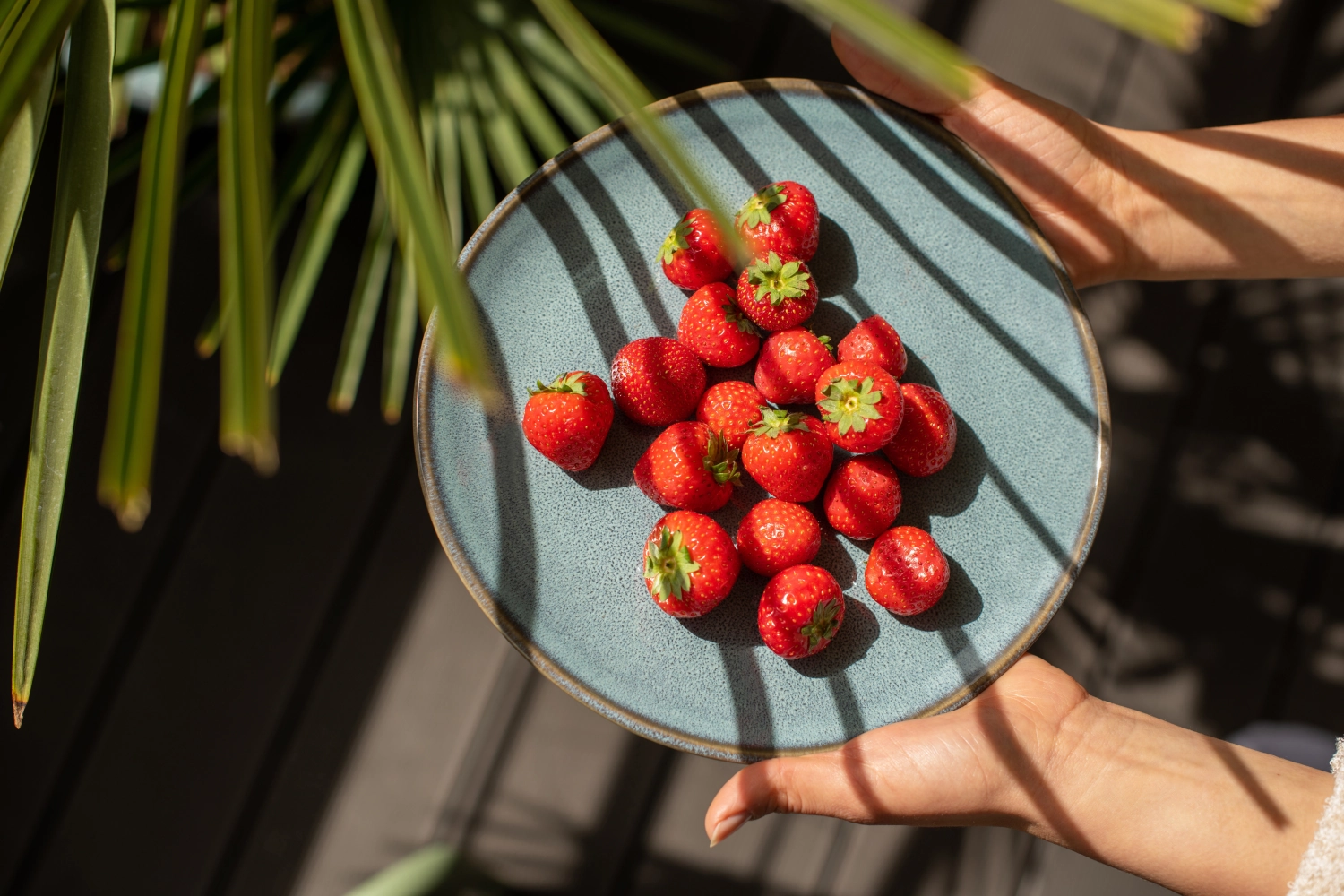 Lave glacé Frühstücksteller