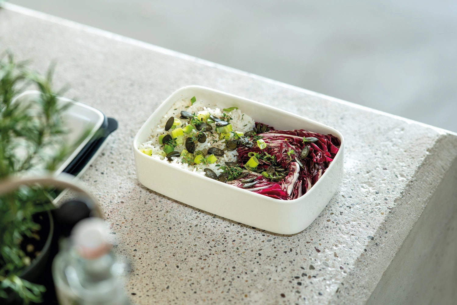 To Go & To Stay Lunchbox S eckig