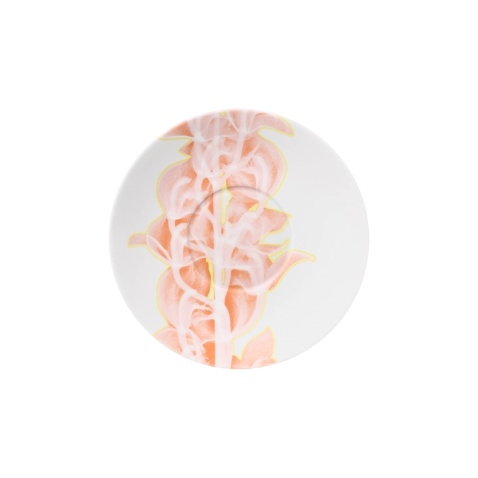 PalmHouse X Coral Assiette coupe, petite