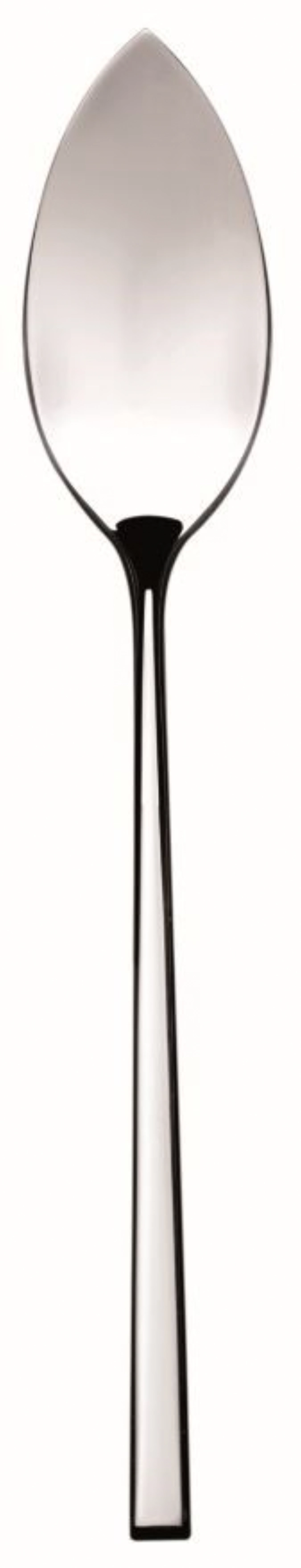 Gualtiero Marchesi Fischmesser