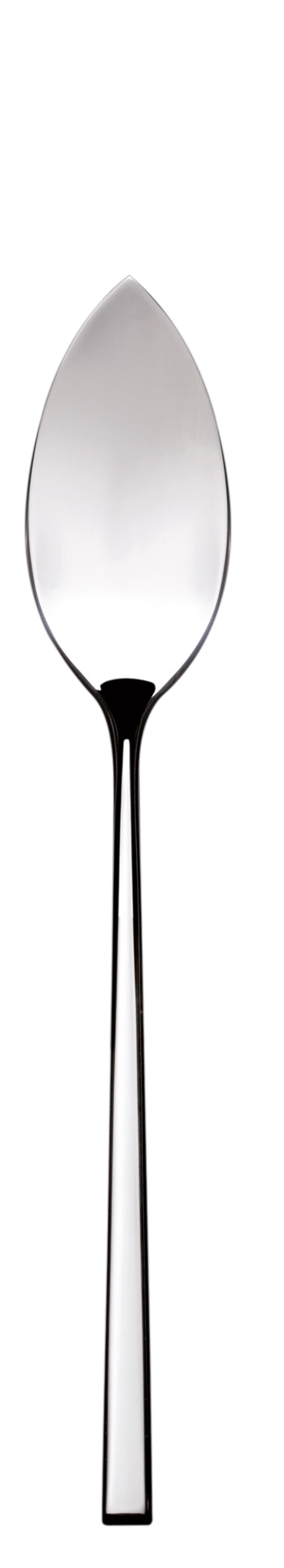 Gualtiero Marchesi Fischmesser versilbert