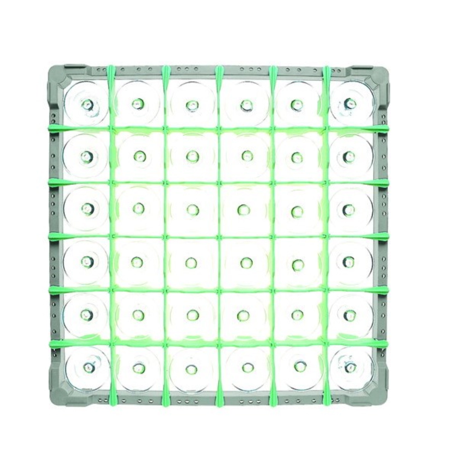 Einteilung 6x6 für Gläserkorb B H: 130mm