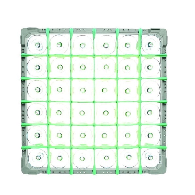 Einteilung 6x6 für Gläserkorb B H: 130mm