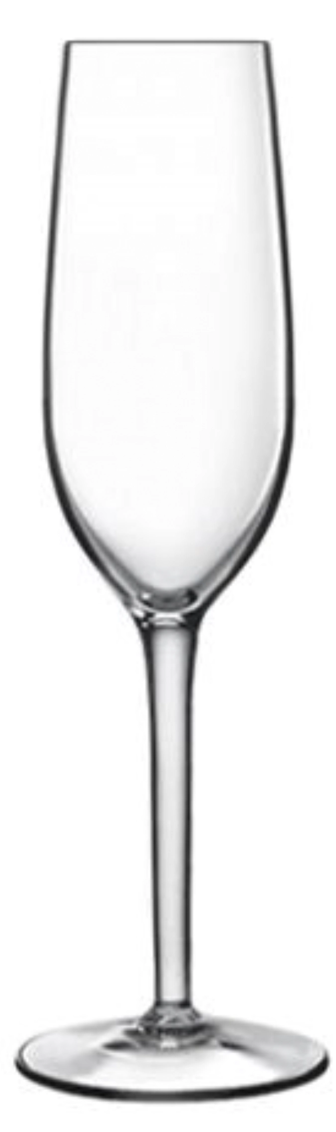 Rubino coupe à champagne 21cl, 1dl calibrée