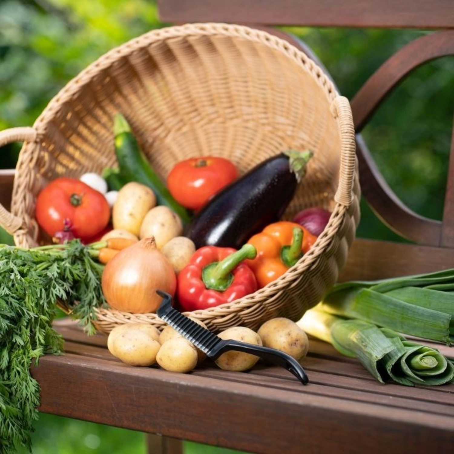 Buntschneider Garnetta