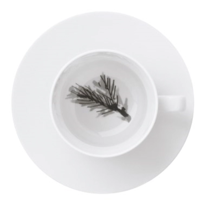 Piqueur Cappuccino Tasse