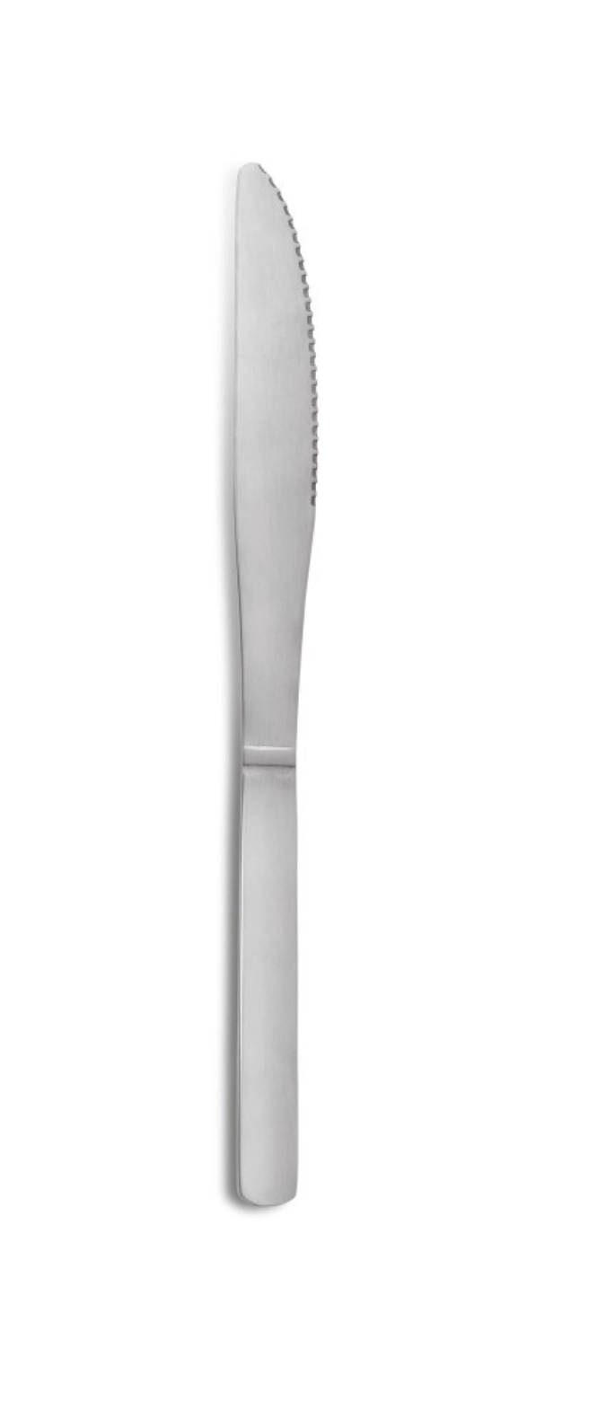 Eco Tafelmesser 18/0