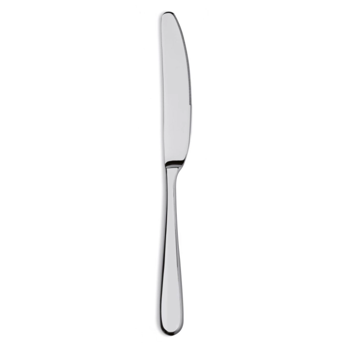 North couteau de table XL 18/10