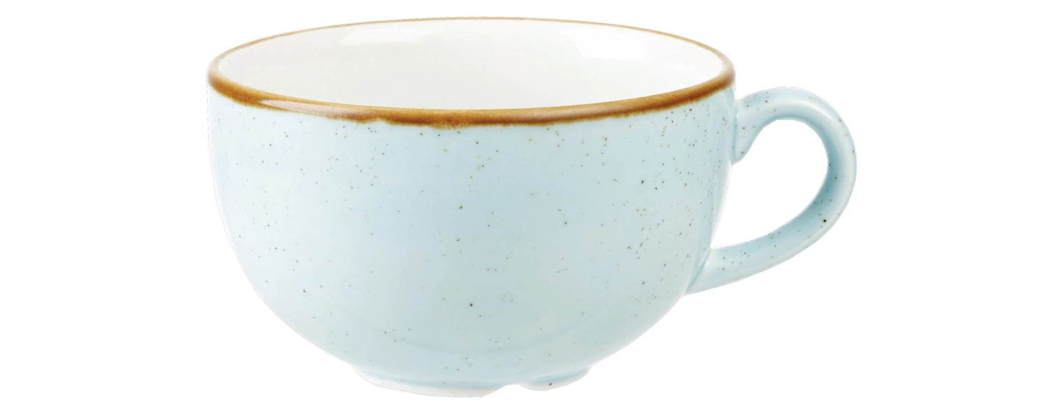 Stonecast duck egg blue tasse 46cl