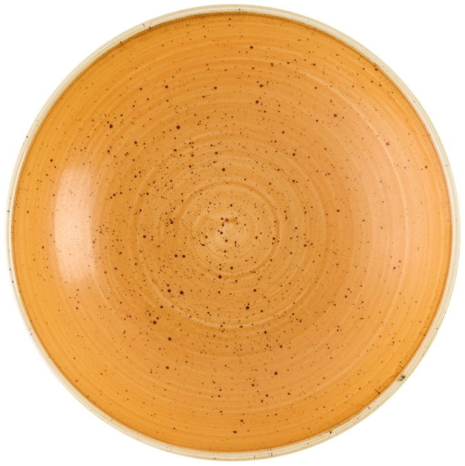 Stonecast Tangerine Coupe Assiette creuse