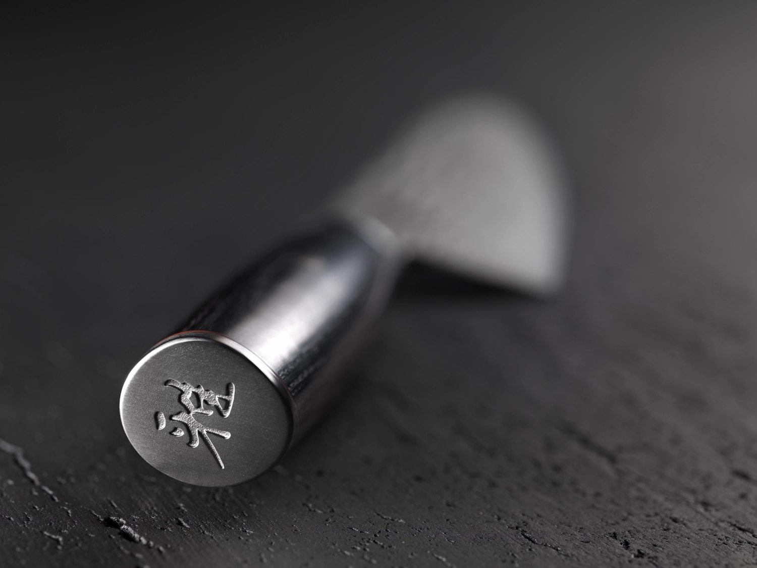 5000 FC-D Gyutoh 20cm