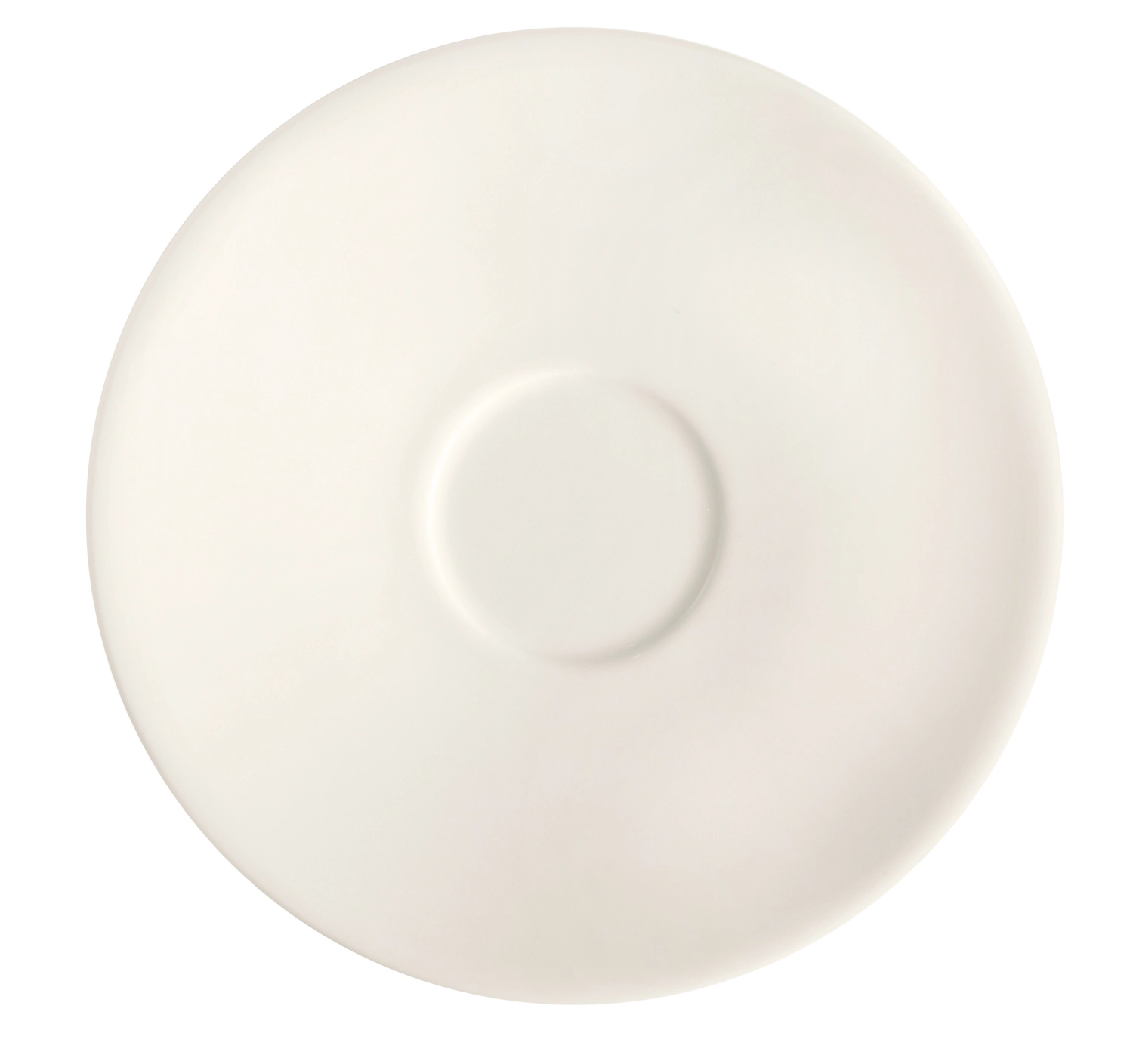 New Bone Gourmet Tee Untertasse