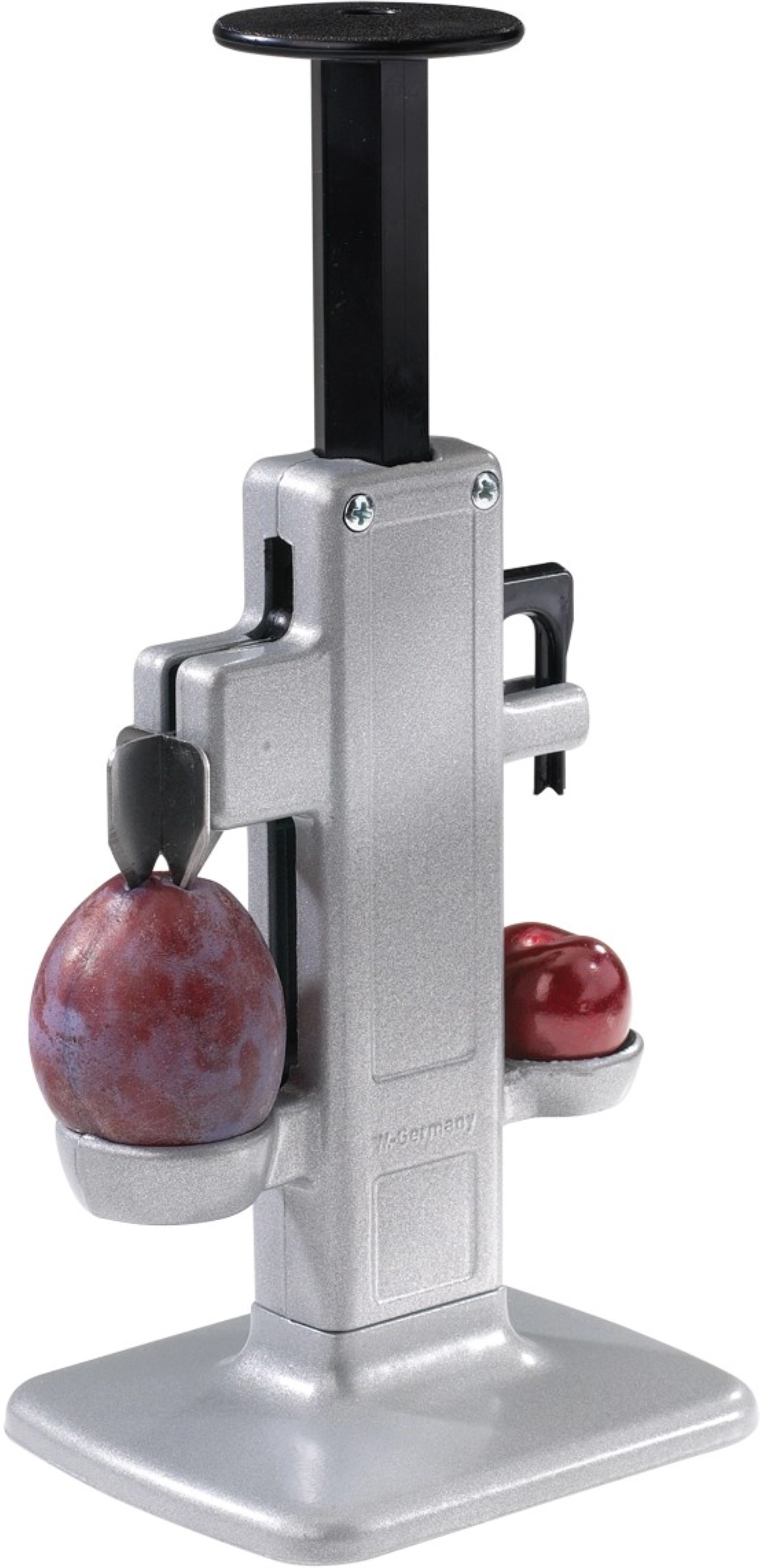 Steinex-Combi Kirschen und Pflaumenentsteiner