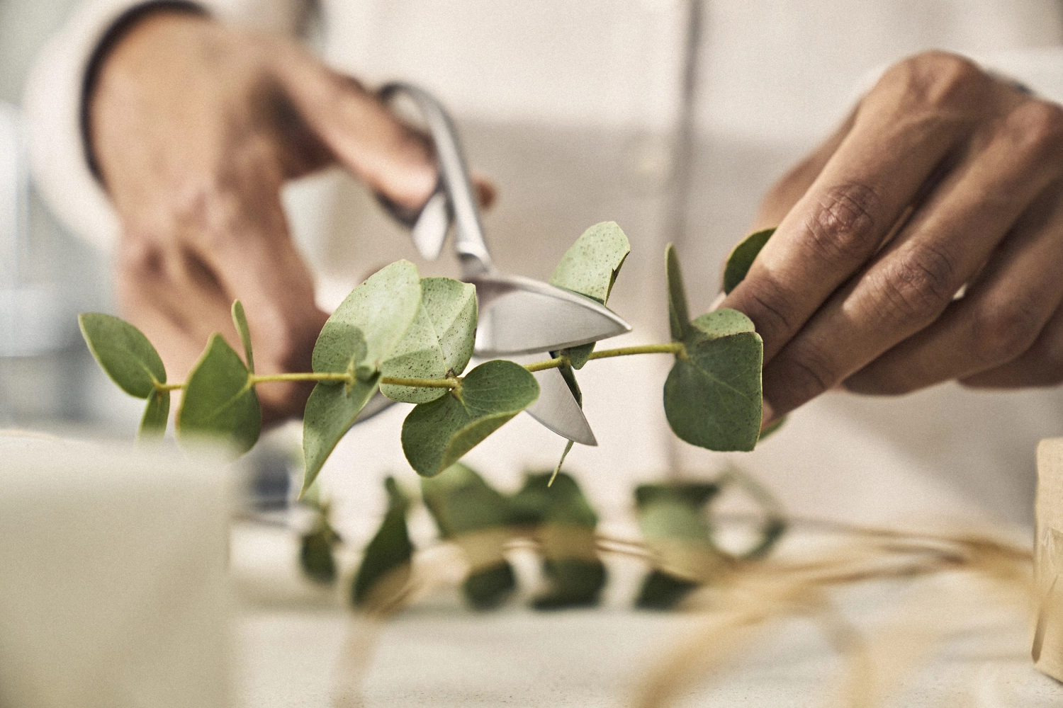 Twin Select Vielzweckschere