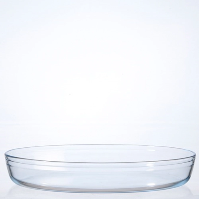 Plateau ovale résistant au four 39x27cm Arcuisine