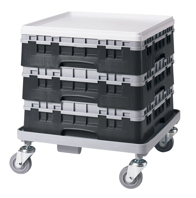 Panier de base Camrack a. 1 extenseur Noir