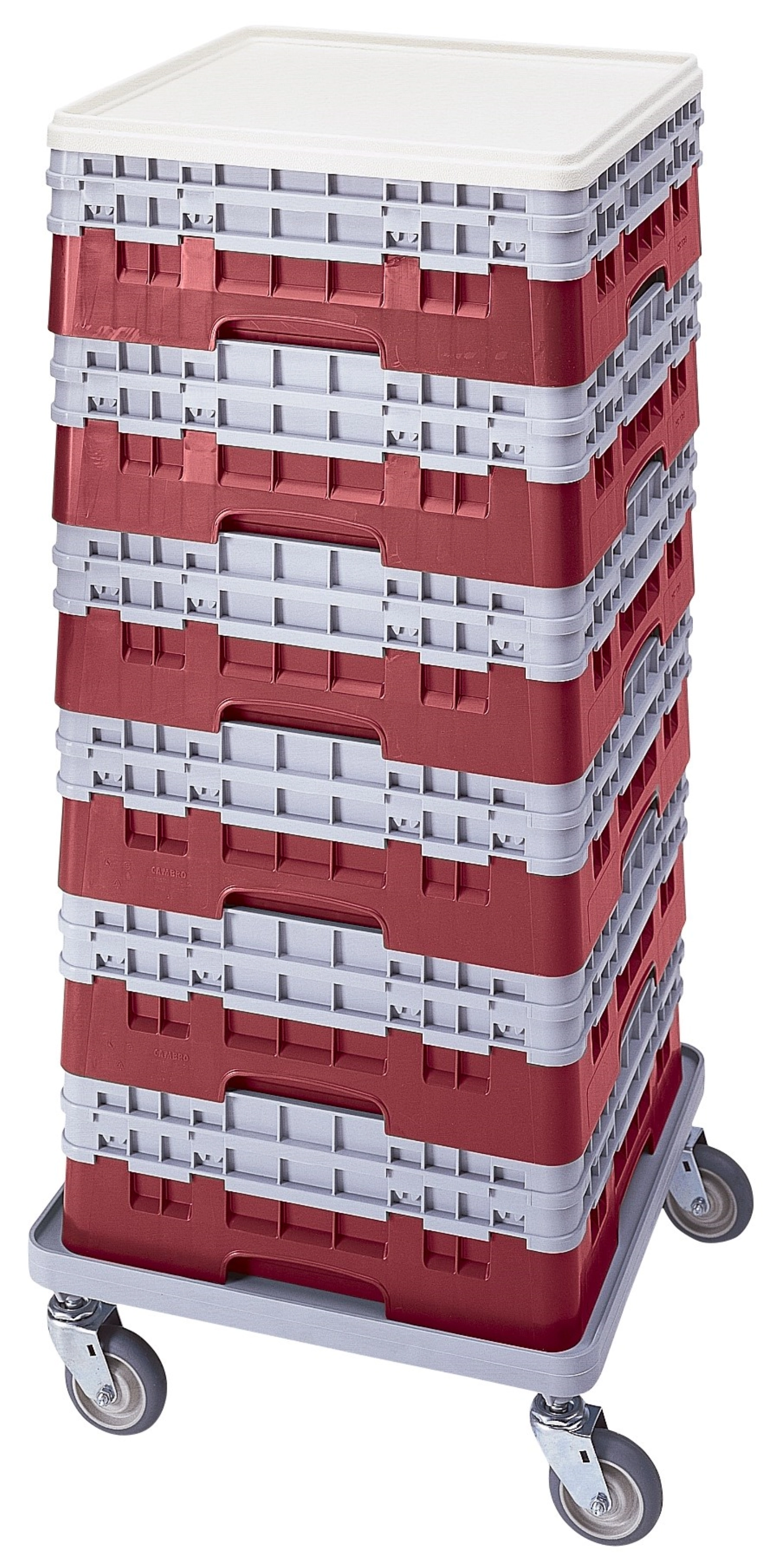 Panier de base Camrack a. 2 extenseurs canneberge