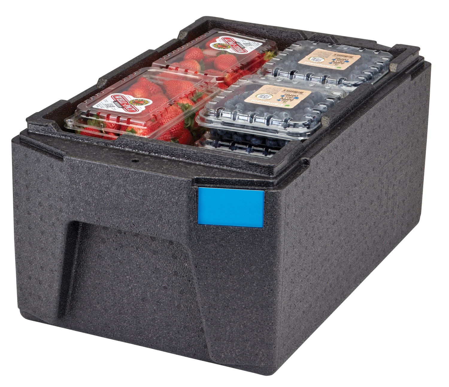 GoBox Toplader EPP180LH GN1/1-20cm a. grandes poignées