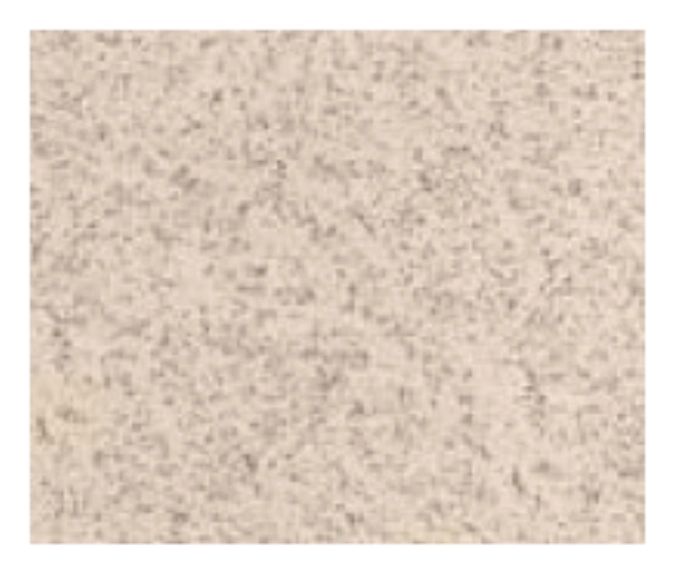 Tablett GP 4002 Sahara