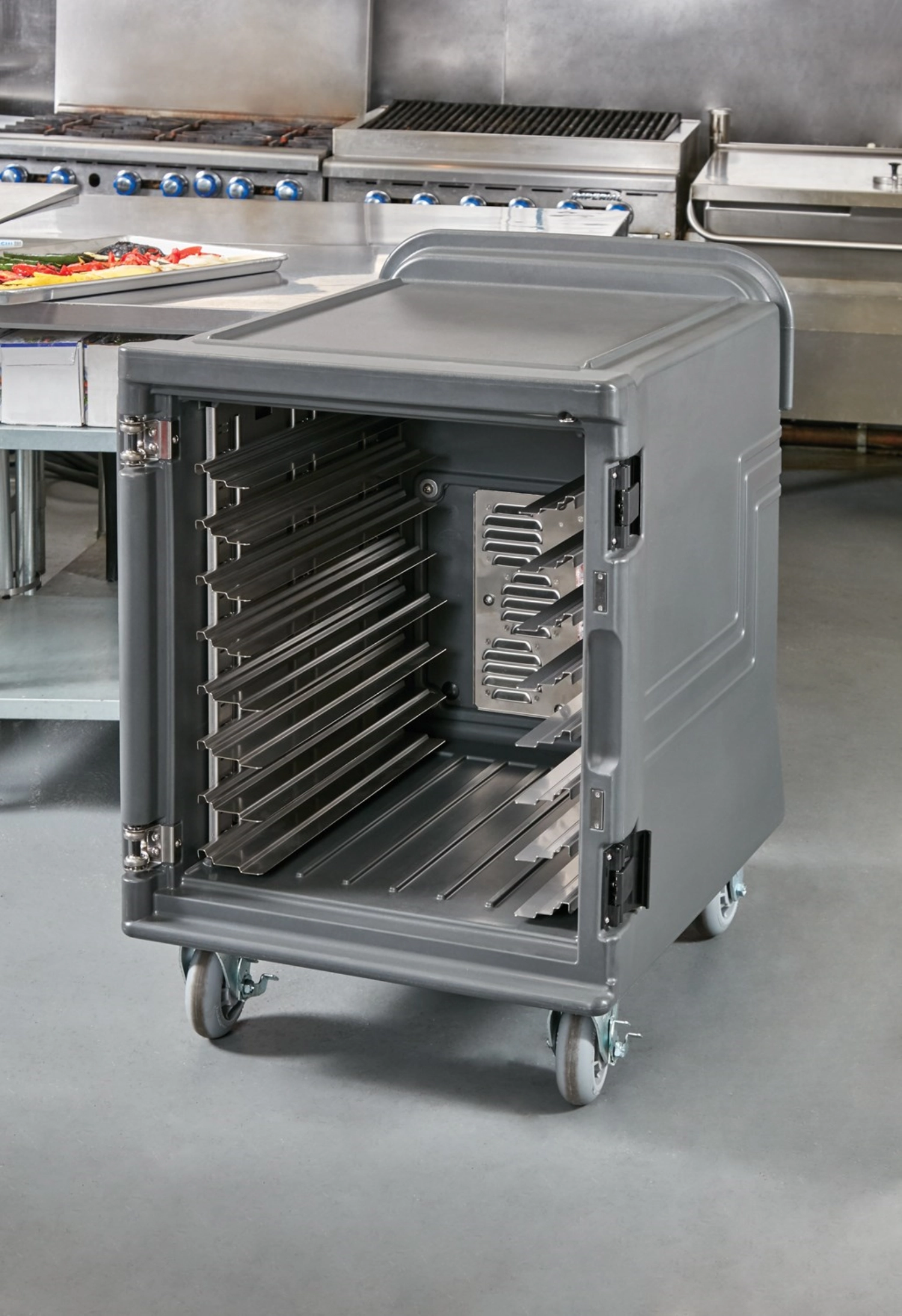 Pcu Low Hot 220V-Chrcl