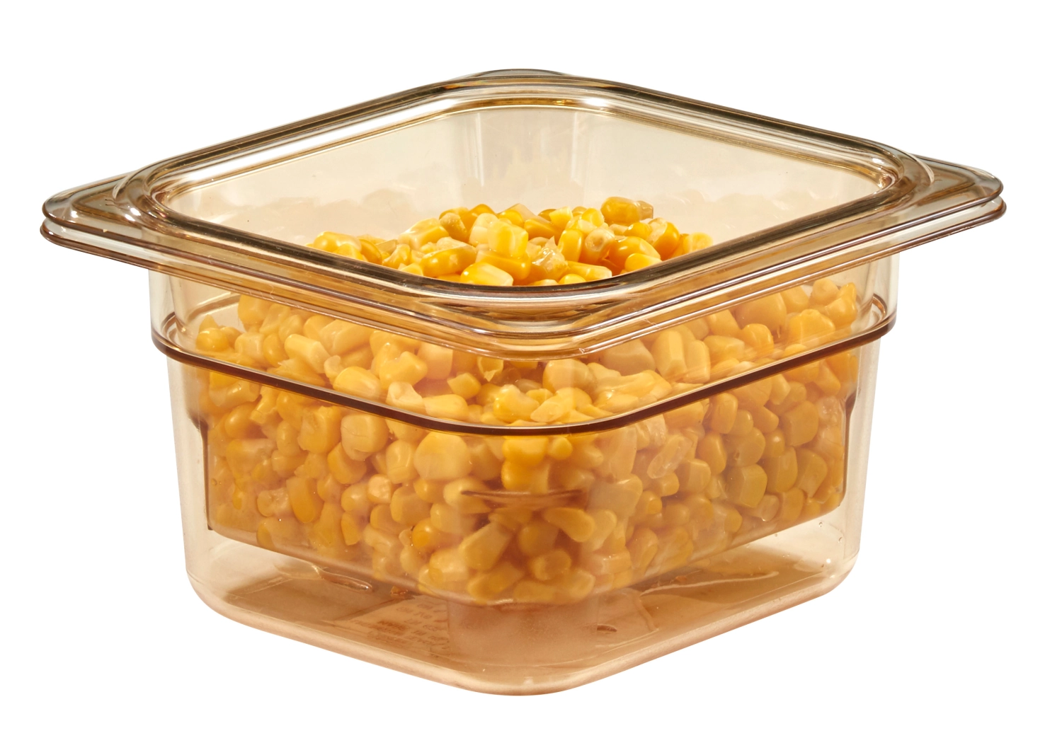 Hitzebeständige GN-Behälter H-PAN GN 1/6-100mm