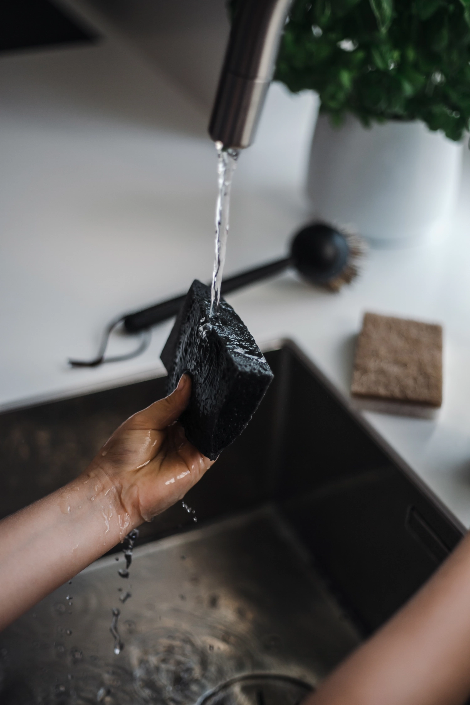 2er Set Pop-Up Schwamm