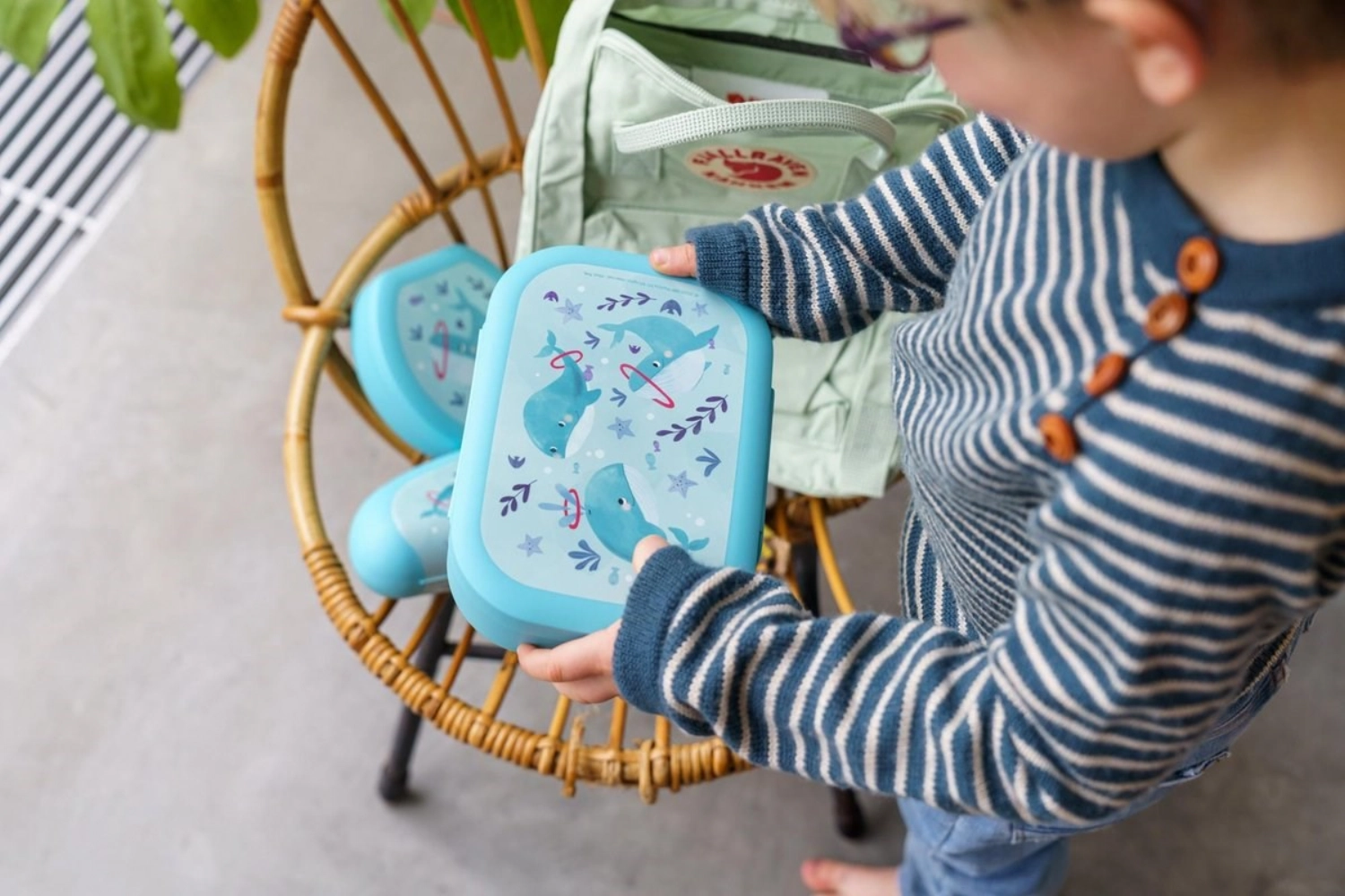 Sealife Lunchbox Wal