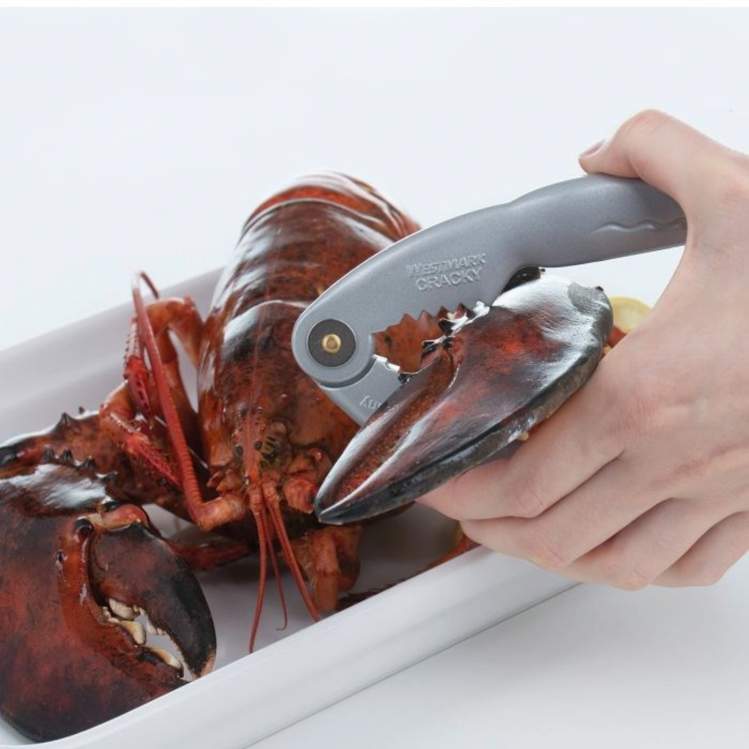 Cracky Retro Hummerknacker