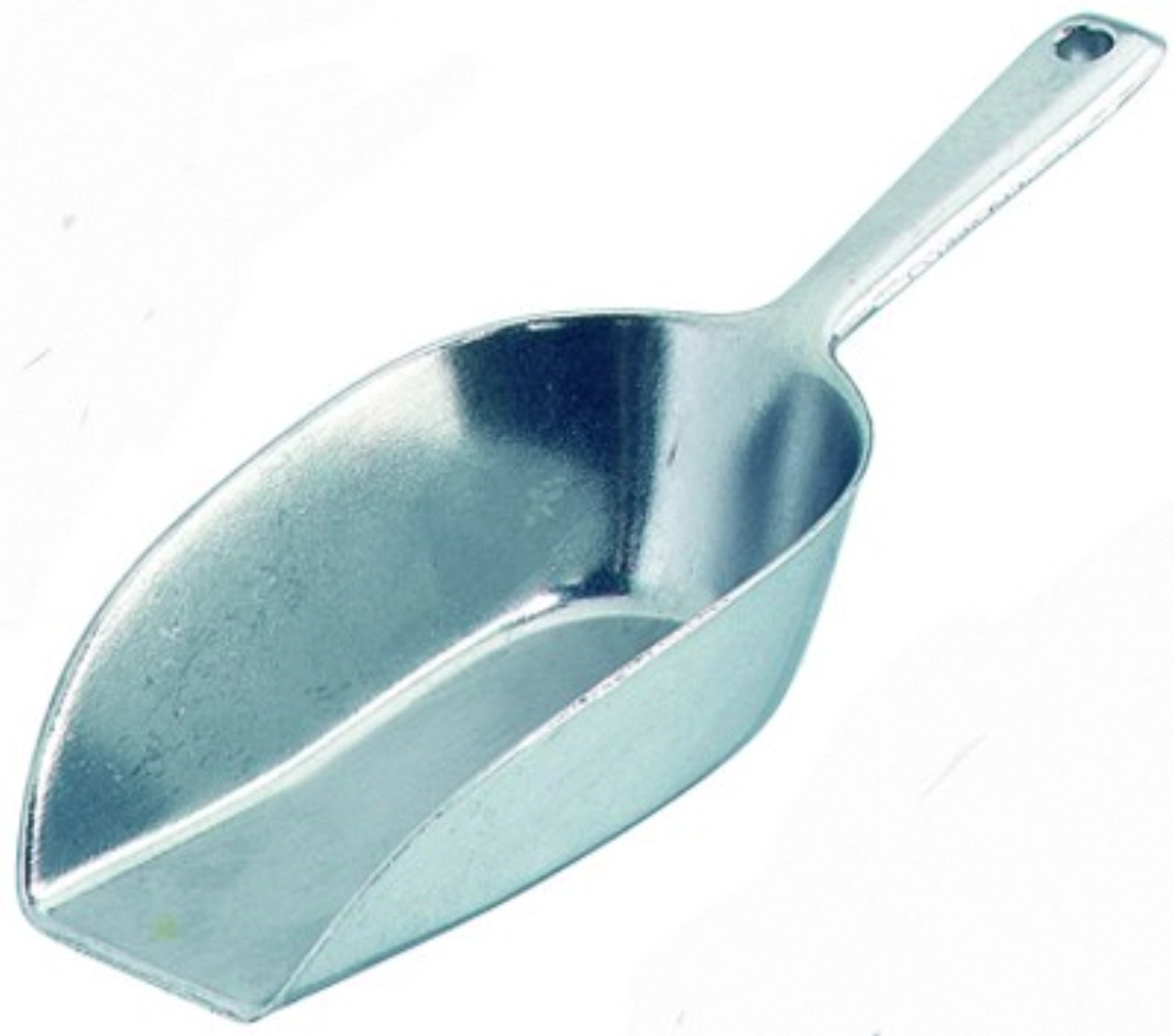 Hygia Haushaltsschaufel