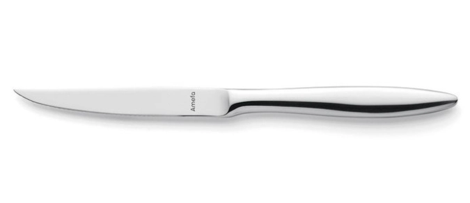 Tendence Steakmesser rfr., poliert