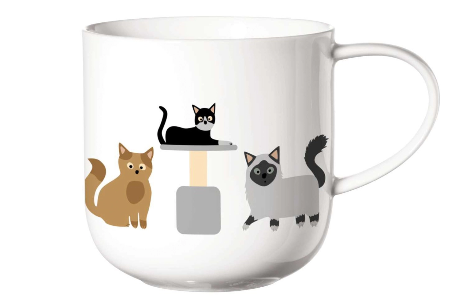 Coppa Tasse à anse, Cats