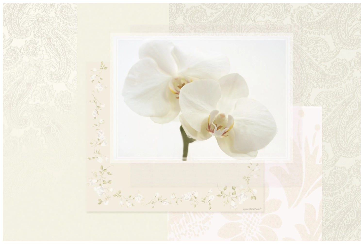 Chachemire White Tischset