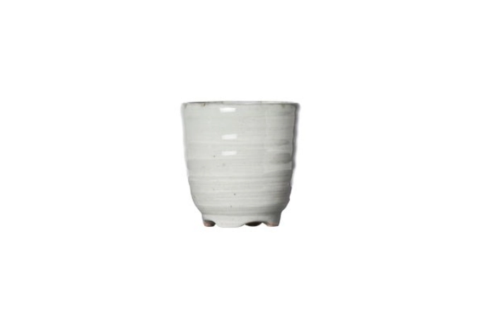 Avalon tasse a sake d5xh5cm 50ml