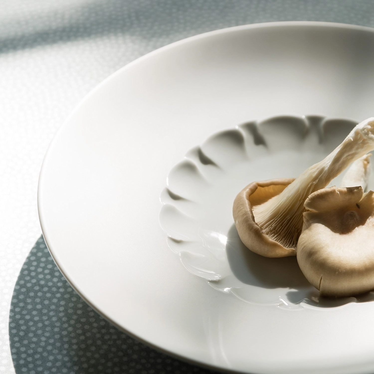 Evolution Assiette a. rebord et miroir texturé