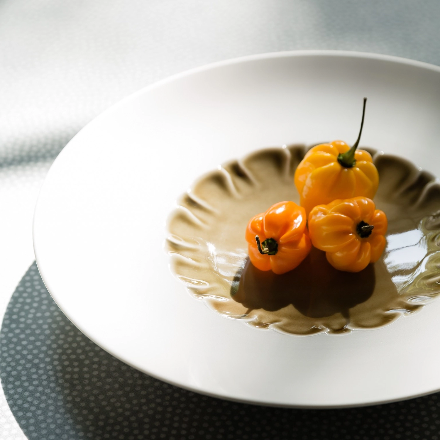 Evolution Assiette a. rebord et miroir structuré