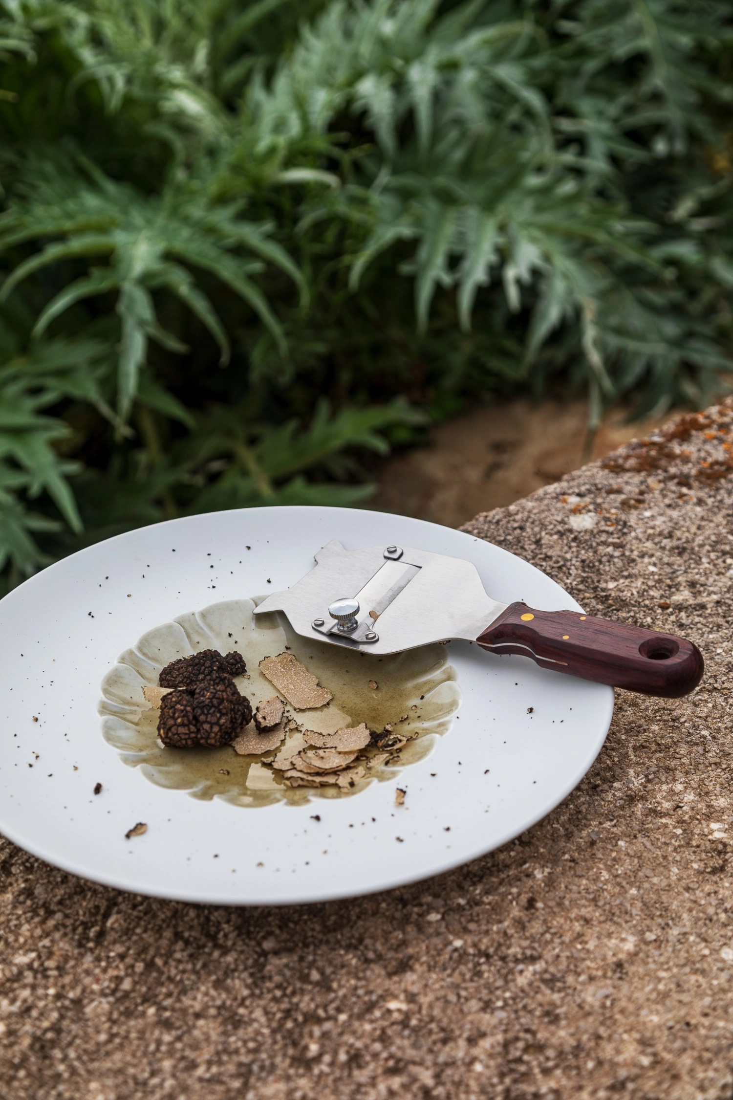 Evolution Assiette a. rebord et miroir structuré