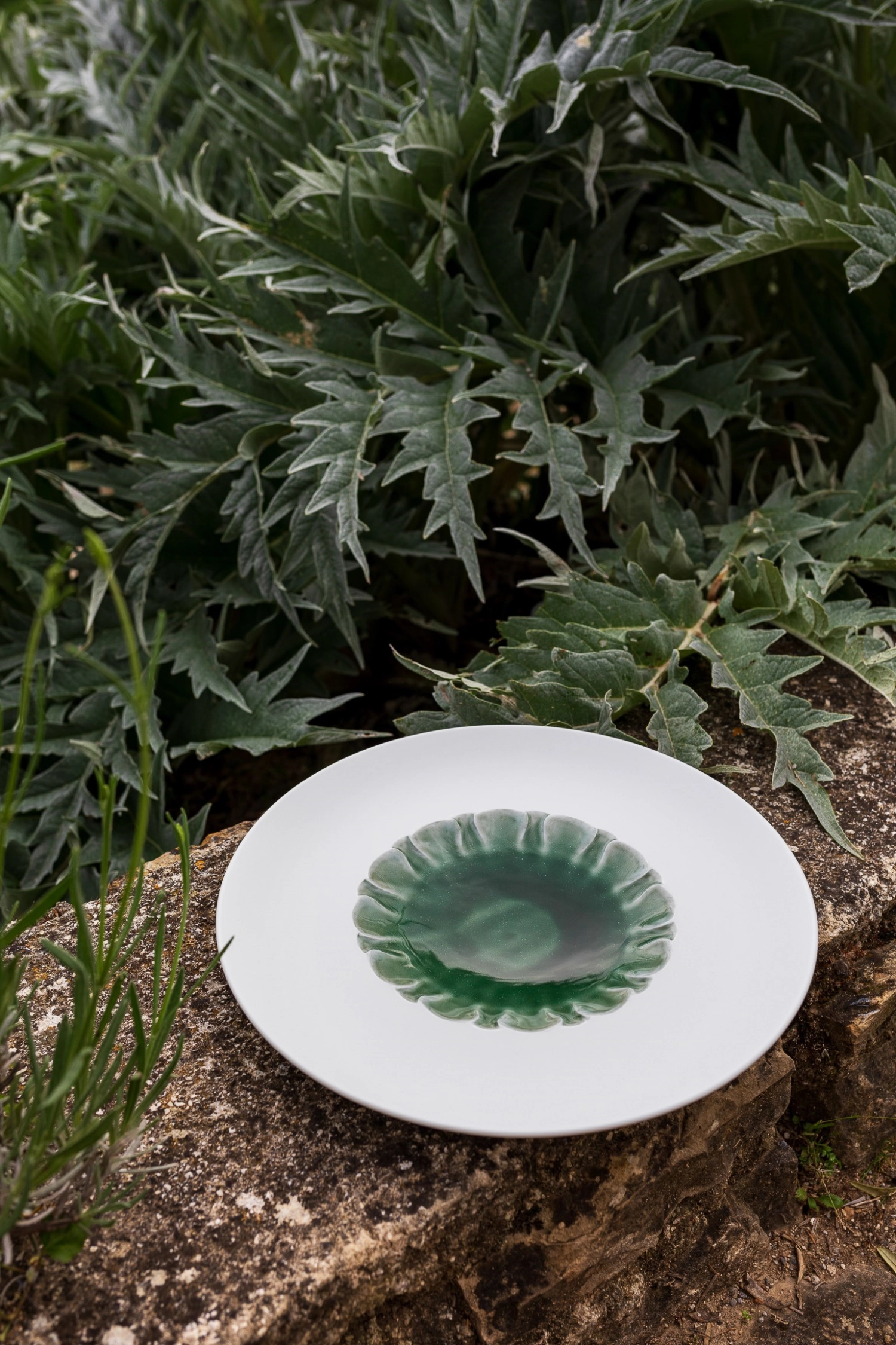 Evolution Assiette a. rebord et miroir structuré