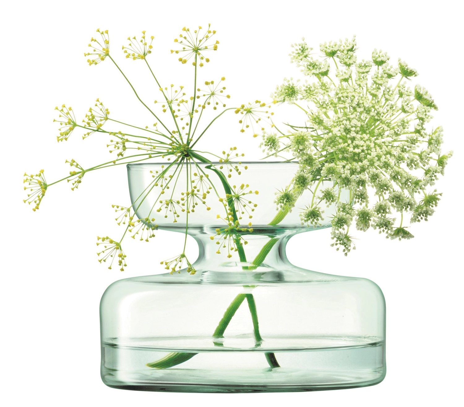 Vase canopy planteuse d'oignons h10cm - recy. optique