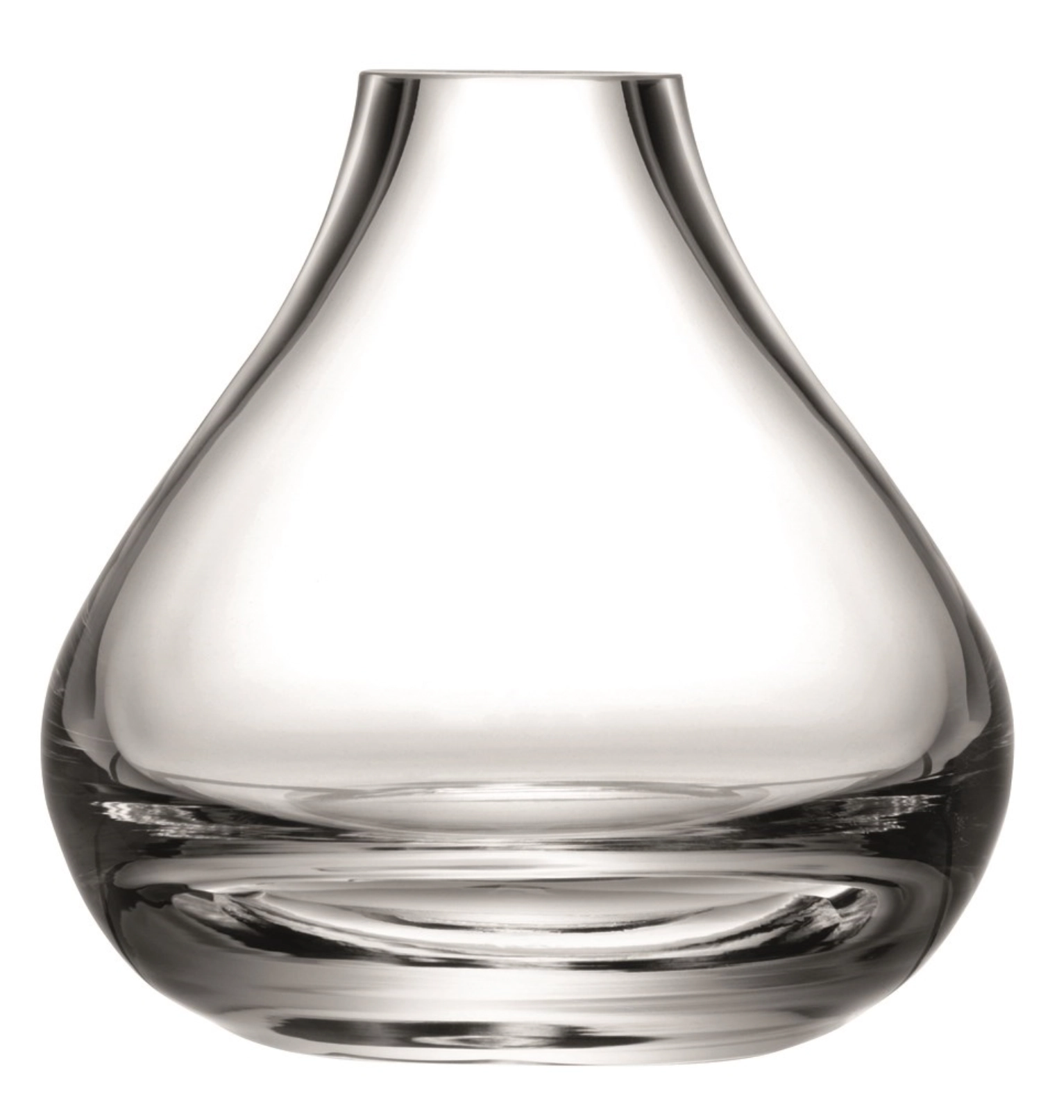 Flower vase brindille h11cm transparent